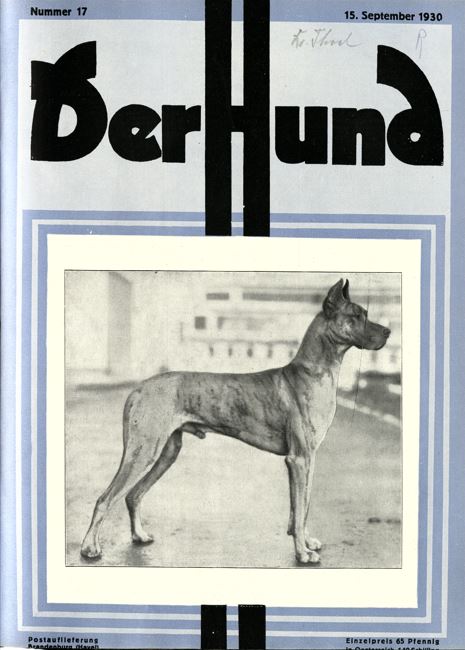 Der Hund